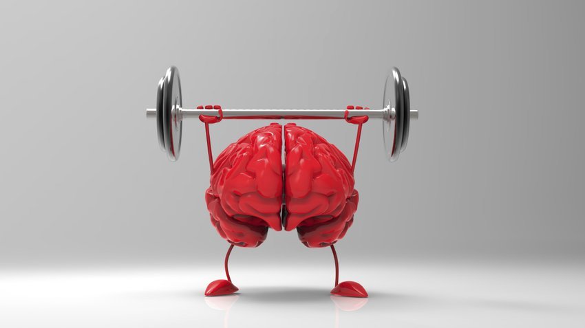 brain-fitness-to-mind-memory.png.850x477_q85_crop